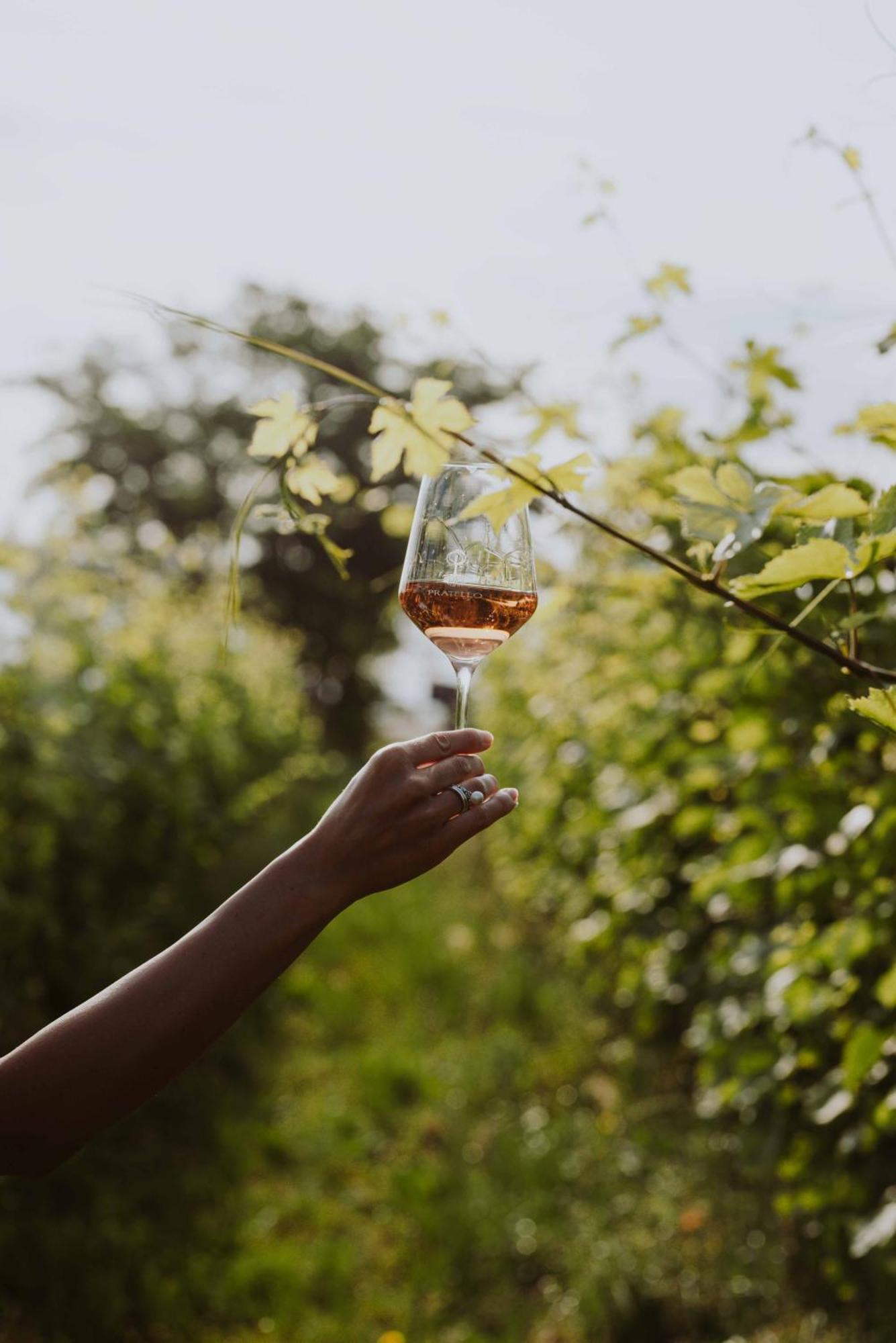 Agriturismo Pratello Padenghe sul Garda Zewnętrze zdjęcie